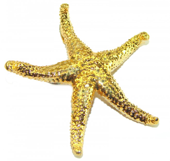Stylish REAL Starfish Coved with Sterling Silver and 14K & .925 Sterling Silver Pendant