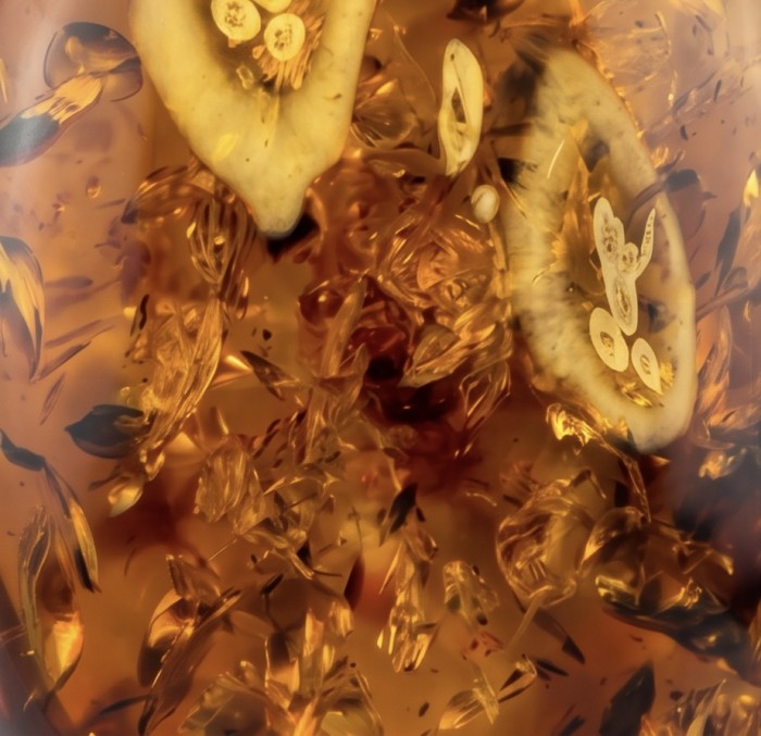 Prehistoric Authentic Baltic Amber .925 Sterling Silver beautifully handcrafted Pendant - Close-up of amber stone with inclusions in sterling silver jewelry.