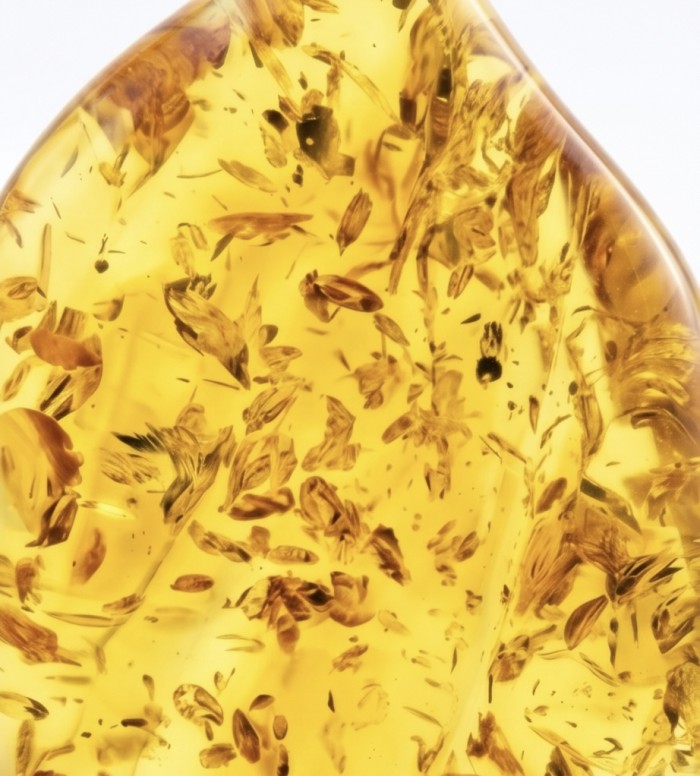Prehistoric Authentic Golden Baltic Amber .925 Sterling Silver beautifully handcrafted Pendant - Close-up of golden Baltic amber with inclusions.