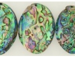 Abalone