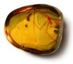 Amber