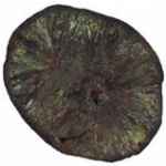 Marcasite